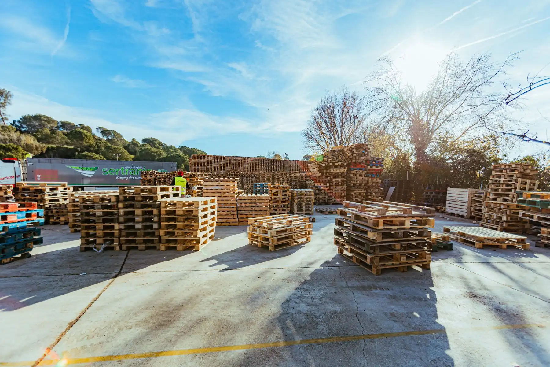 Patio de ECO4US con palets de madera clasificados por tipos