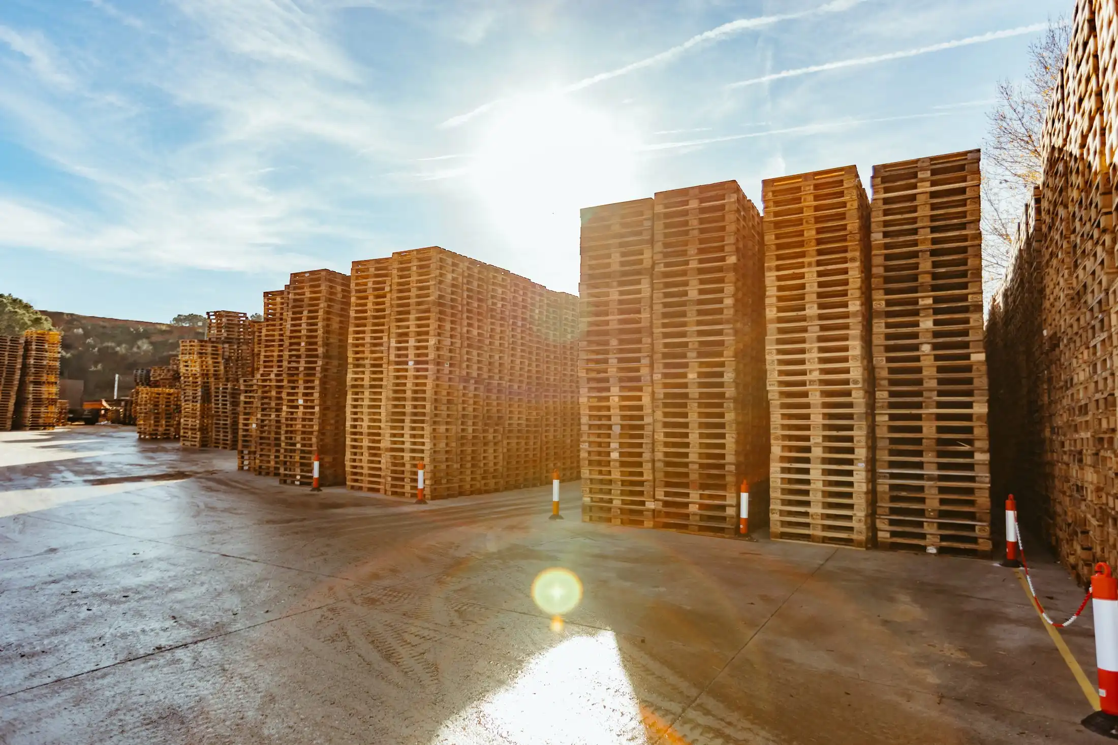 Torres de palets de fusta recuperats al sol al pati d'ECO4US